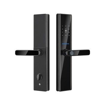Siyah Biometrik Parmak izi Kapı kilitleri Tuya TTlock Elektronik Dijital Kapı kilitleri