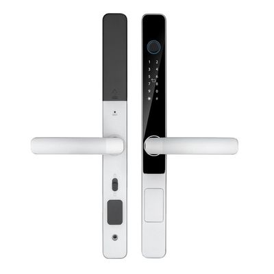 IP65 Su geçirmez Akıllı Tuya Wifi Uzaktan Kumanda TTlock Uygulama Dijital Kapı Kilit