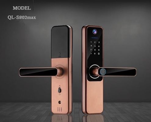 Dayanıklı Alkali Batarya Parmak izi Kapı Kilit Tuya Bluetooth Parmak izi Kapı Kilit