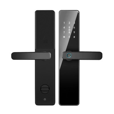 S819 Dijital Akıllı Ev Kapısı Kilitli WiFi Etkin Tuya TTlock & Parmak izi Şifresi Anahtar Kart Kilitli