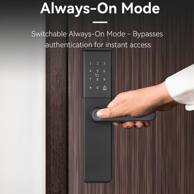 Qleung S851 Tuya Akıllı Kapı Kilidi, Bulut Veri Depolama, B Sınıfı Kilit Silindiri ve Wi-Fi Ağı